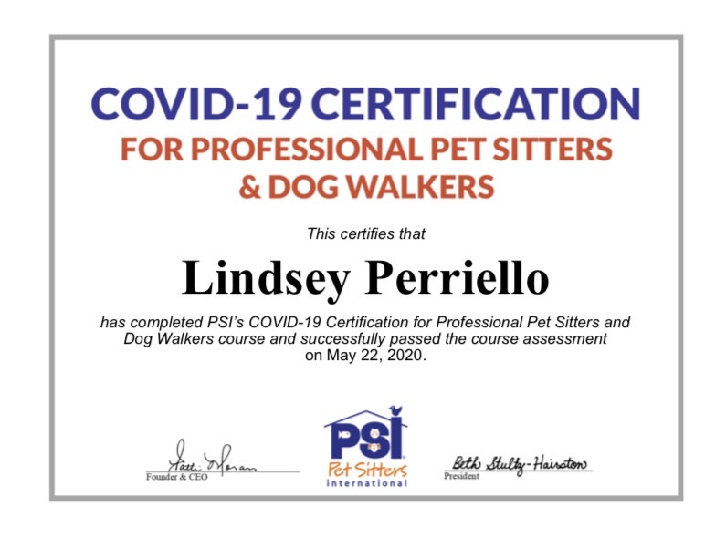 Safe dog walking and pet sitting services - COVID-19